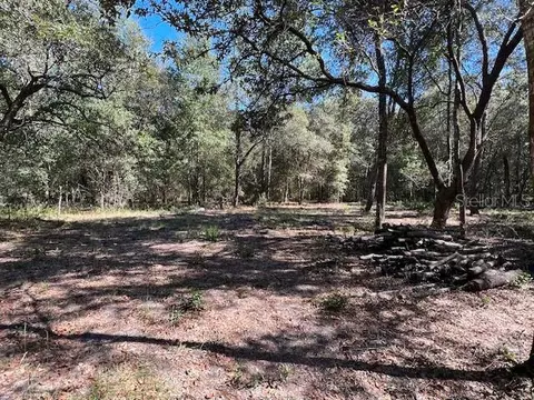 NE 139th Avenue, Williston, FL 32696