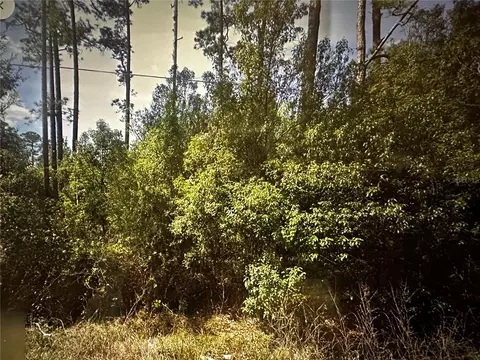 0 Lake St, Paisley, FL 32767