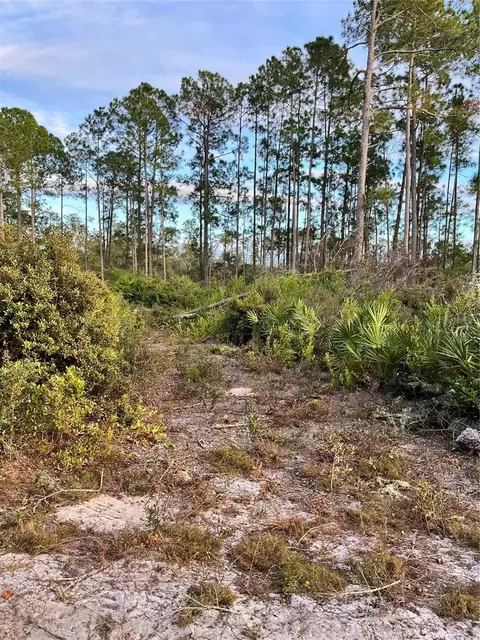 SE 212th Court, Umatilla, FL 32784