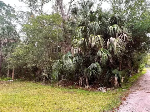 Savanna Street, Debary, FL 32713