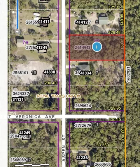41370 Aspen St, Eustis, FL 32736