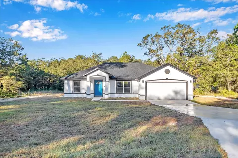 22 Guava Terrace Trce, Ocklawaha, FL 32179