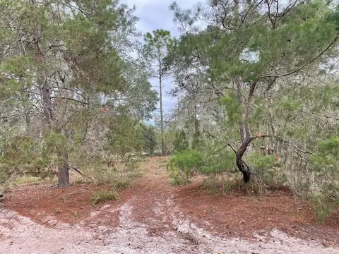 Bailey Palm Drive, Groveland, FL 34736
