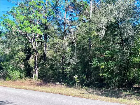 Tbd SW 209th Court Road, Dunnellon, FL 34431
