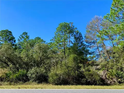 Lot 7 Red Gum Court, Eustis, FL 32736