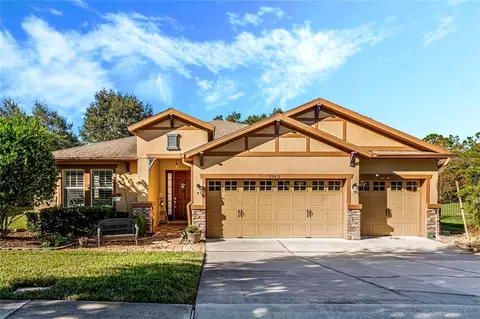 30431 Gidran Ter, Mount Dora, FL 32757