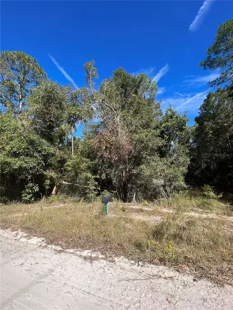 tbd 204th St, O Brien, FL 32071