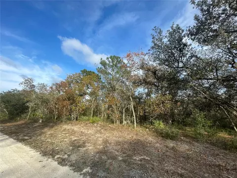 8208 Renova Dr, Webster, FL 33597 photo 1