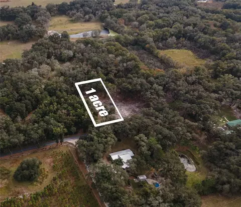 Nnn County Road 650, Bushnell, FL 33513