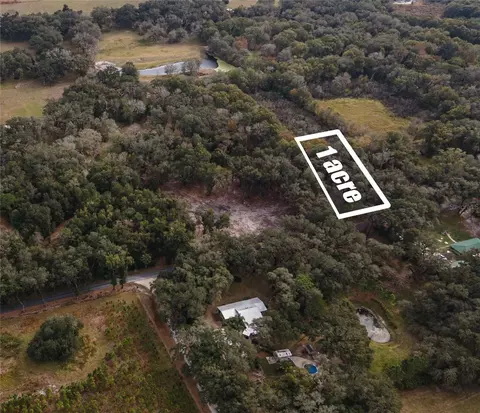 Nnn County Road 650, Bushnell, FL 33513