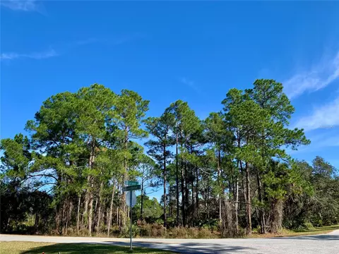 Lot 2 Greenbrier Street, Eustis, FL 32736