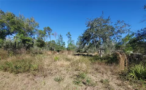 Turkey Road, Altoona, FL 32702