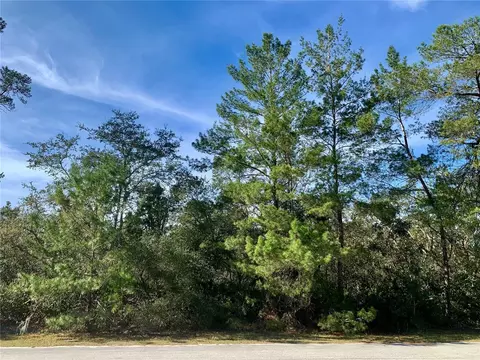 Lot 26 Balsam Street, Eustis, FL 32736