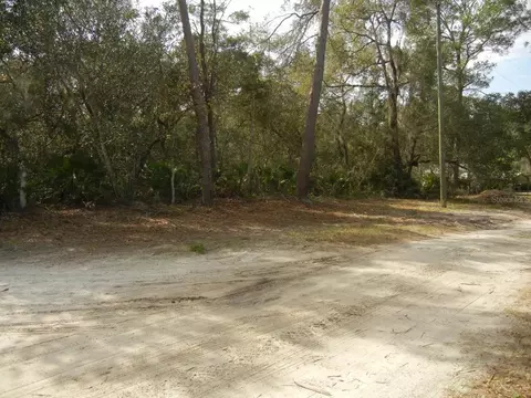 Lakeview Boulevard, Paisley, FL 32767