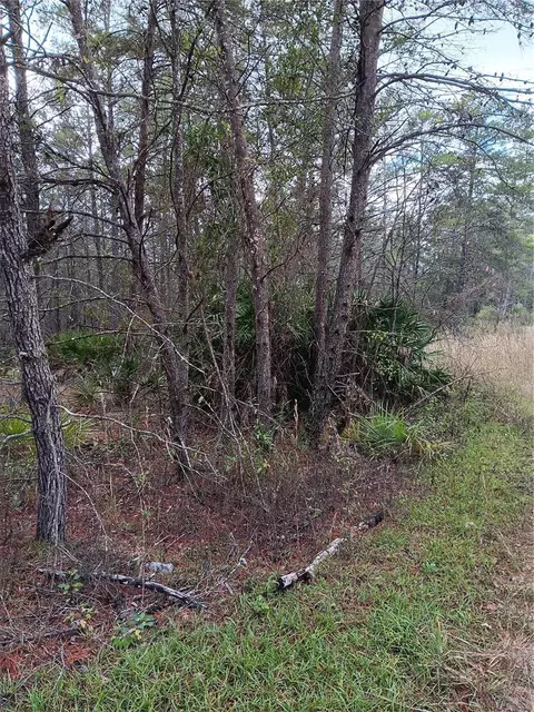 5144 W Osmond Ln, Dunnellon, FL 34433
