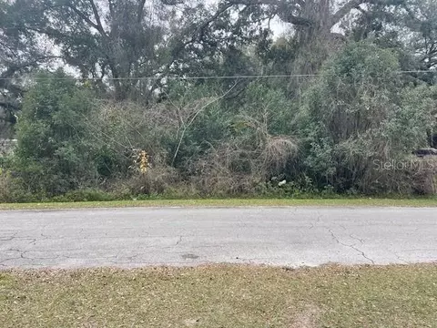 10590 SE 130th Pl, Ocklawaha, FL 32179