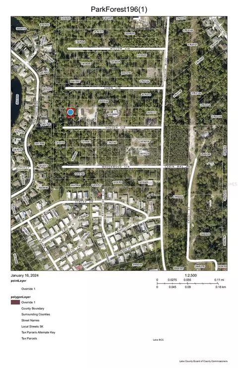 Park Forest - Lot 196 Boulevard, Mount Dora, FL 32757