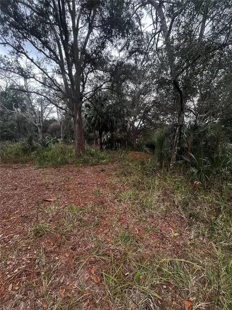 9615 SE 188th Ter, Ocklawaha, FL 32179