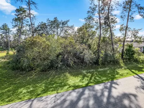 SW 159th Lane Road, Ocala, FL 34473