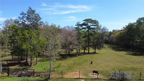 Palomino Way, Oviedo, FL 32765