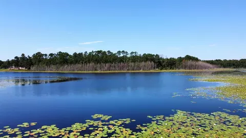 Keene Rd Lot 3, Altoona, FL 32702