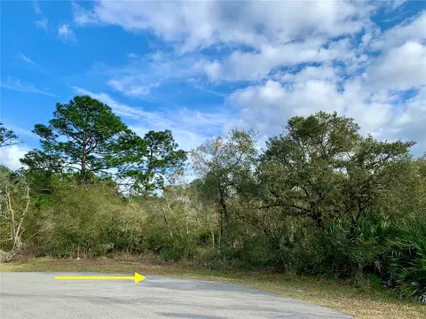 Lot 7 W Bluebell Avenue, Eustis, FL 32736