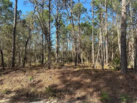 SW 76th Lane, Dunnellon, FL 34432
