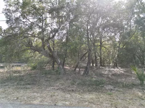 0000 Guava Ter, Ocklawaha, FL 32179