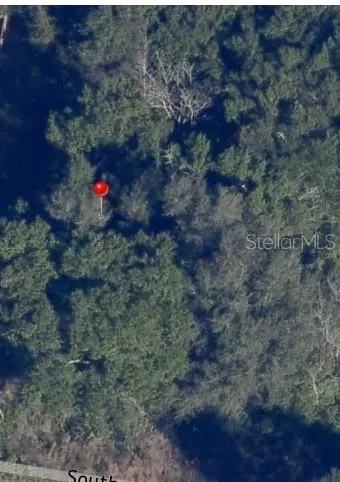 Tbd SE 143rd Lane, Summerfield, FL 34491