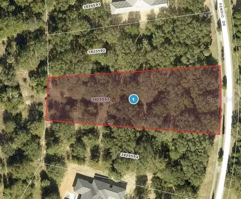 15702 Pendio Dr, Montverde, FL 34756
