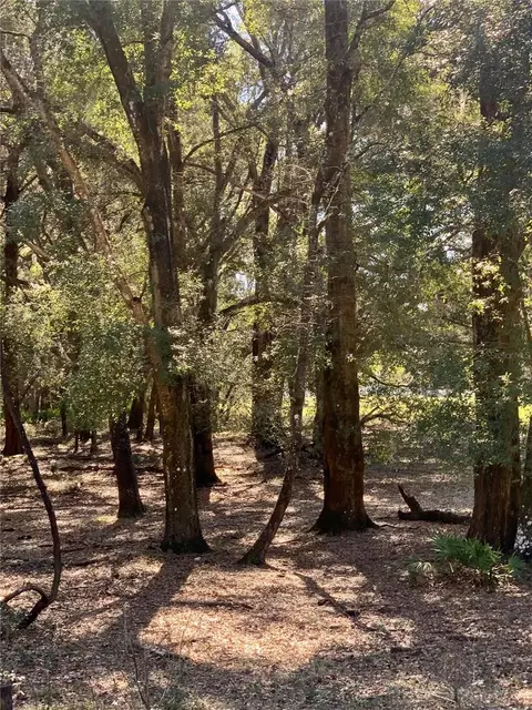 000 42 Hwy, Summerfield, FL 34491
