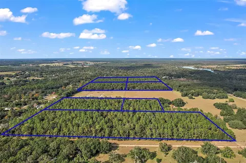 Quale Grove Road, Eustis, FL 32736