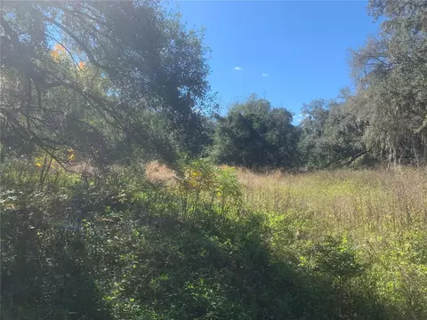 County Rd 726, Webster, FL 33597