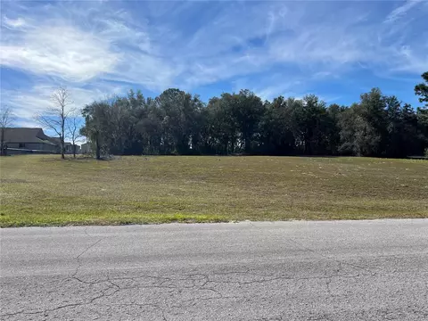 110 E Dusty Ct, Hernando, FL 34442
