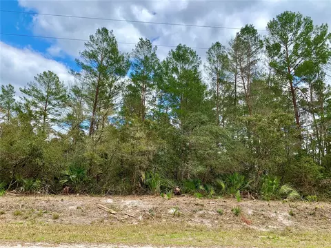 Lot 3 Chinaberry Street, Eustis, FL 32736