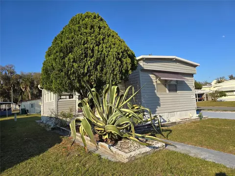 817 E Live Oak St, Wildwood, FL 34785