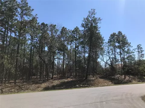 1645 Cr 243b Lot #151, Wildwood, FL 34785