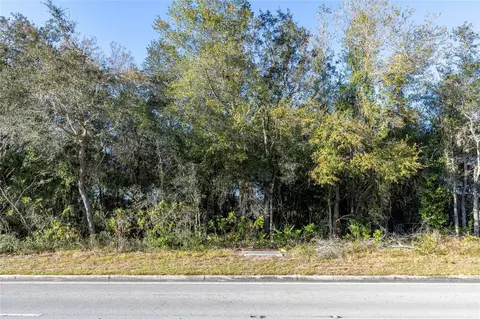 Highway 42 Highway, Summerfield, FL 34491