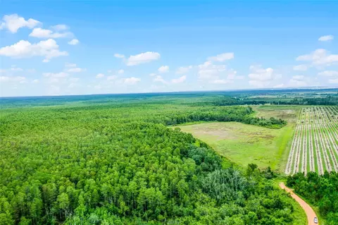 S Boggy Marsh Road, Clermont, FL 34711
