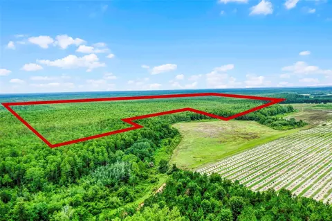 S Boggy Marsh Road, Clermont, FL 34711