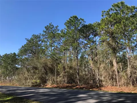 1554 Cr 243b Lot #95, Wildwood, FL 34785