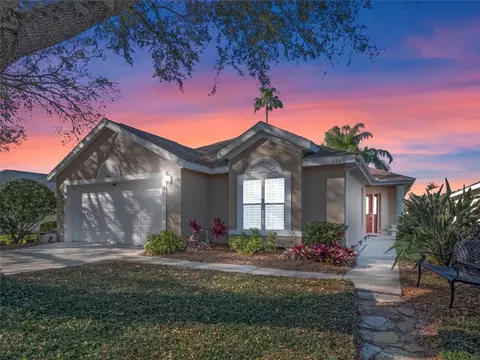 6019 Spring Creek Ct, Mount Dora, FL 32757