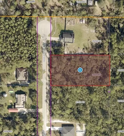 41930 Cassia St, Eustis, FL 32736