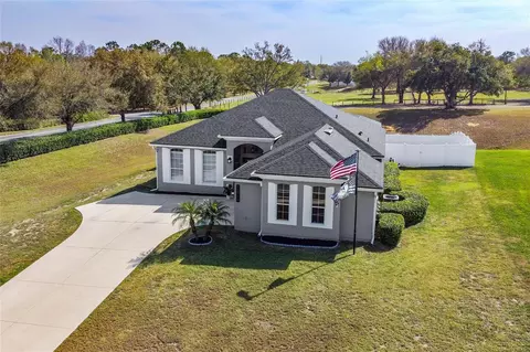 13714 Sand Bluff Ln, Grand Island, FL 32735
