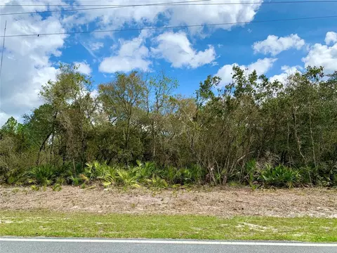 Lot 1 Royal Trails Road, Eustis, FL 32736