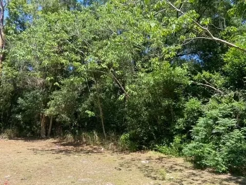 Highland Park Boulevard, Mount Dora, FL 32757