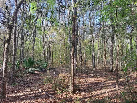 34183 Carpenter Cir, Webster, FL 33597