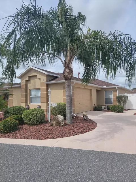 1099 Burnettown Pl, The Villages, FL 32162