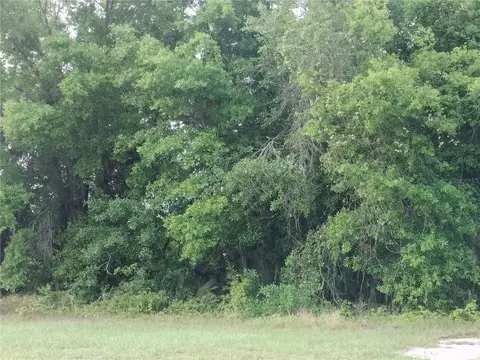 E Bluebell Avenue, Eustis, FL 32736