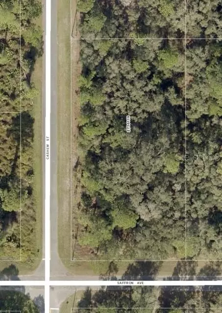 30515 Saffron Ave, Eustis, FL 32736